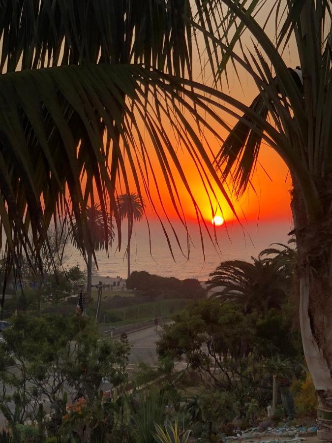 Moonlight Beach Motel Encinitas Kültér fotó